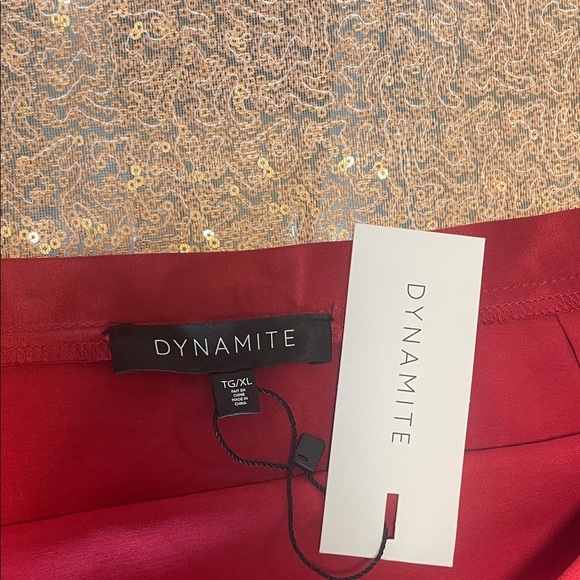 Dynamite Deep Red Mini Skirt - Picture 6 of 7